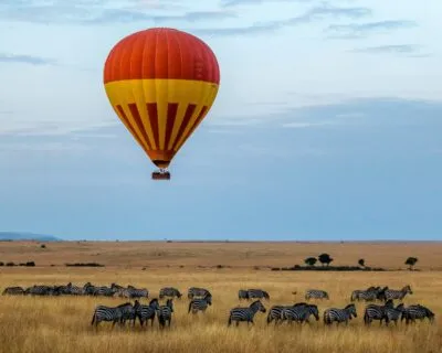 Luchtballon Safari Zebras
