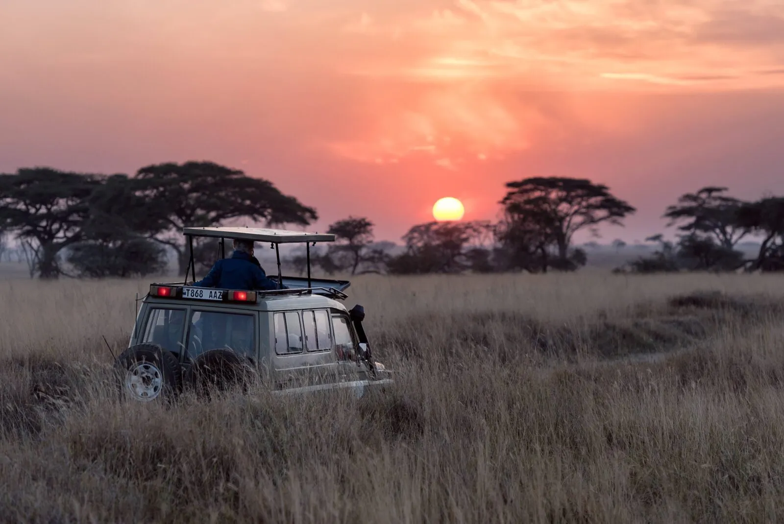 jeep door savanne in Tanzania
