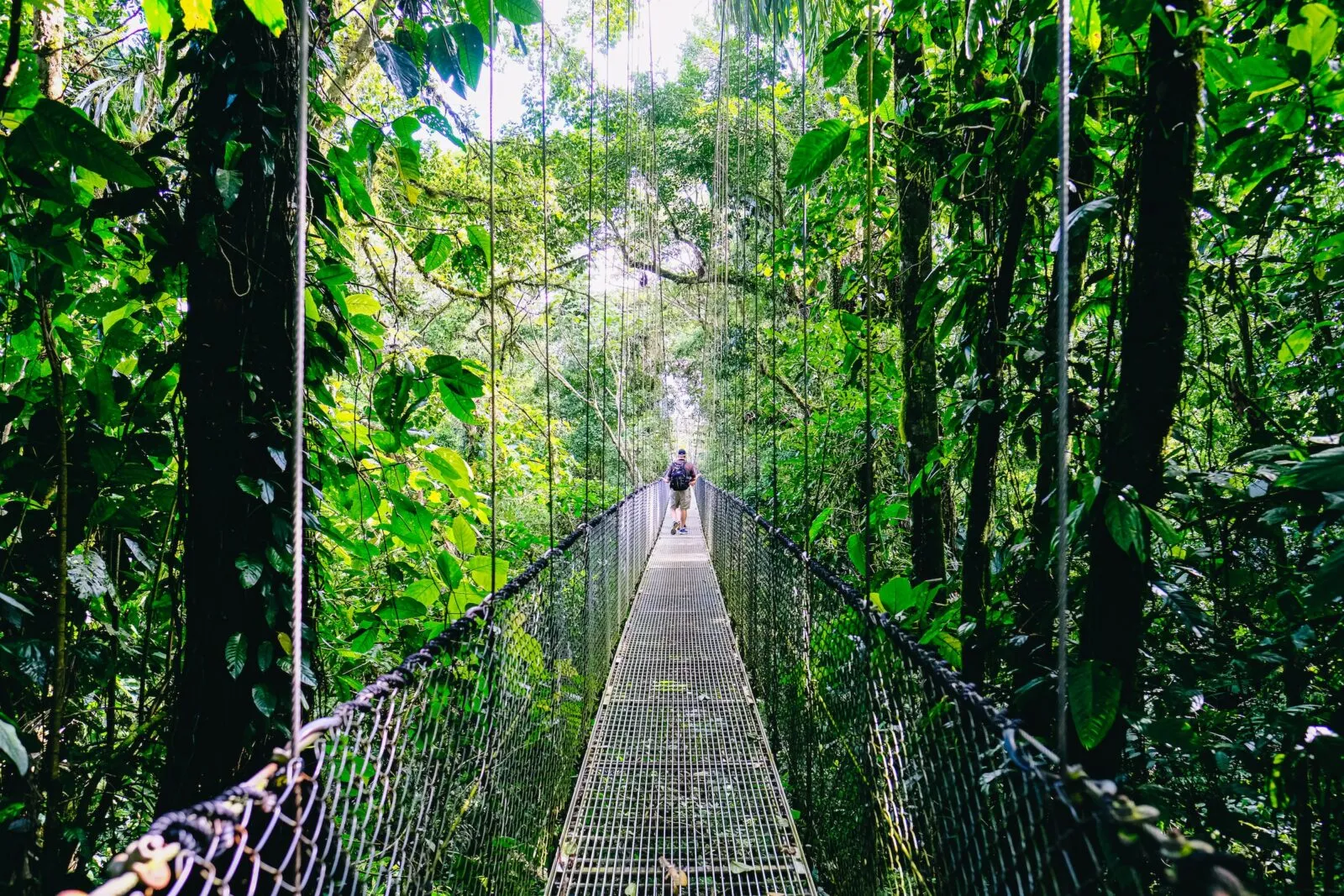 costa-rica-jungle-la-fortuna-brug-man.jpg