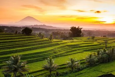 Indonesië bali rijstvelden groen gele lucht
