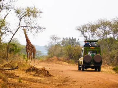Rwanda safari jeep giraffe