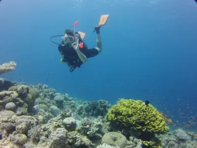 Snorkelen Aqaba
