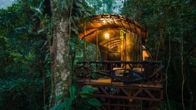 Costa Rica Boomhut Vooraanzicht In De Boom
