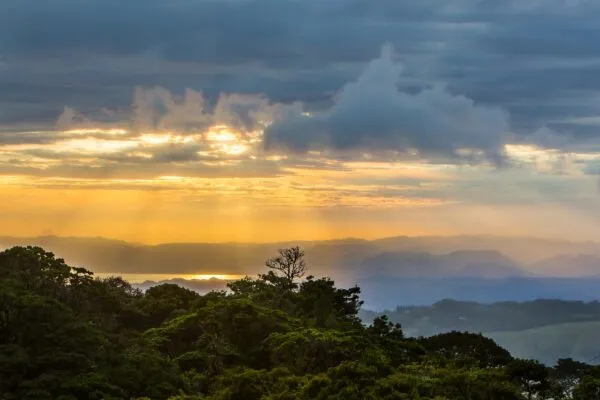 costa-rica-jungle-mooi-licht-geel-zon