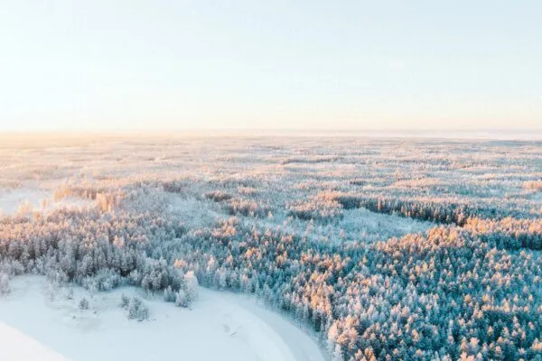 Finland Van Boven Roze Gekleurd