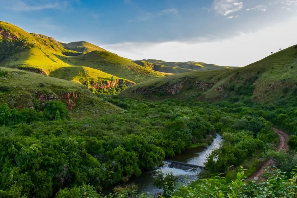 Mpumalanga Zuid Afrika Groen Landschap Gebergte