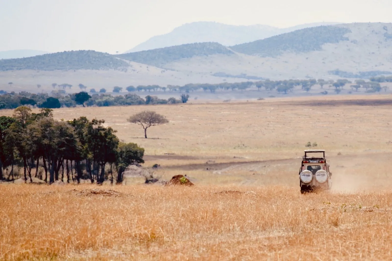 Jeep over de savanne in Tanzania