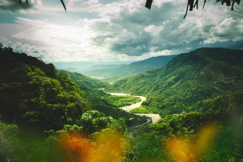 Peru Jungle Rivier Kronkelend Groen