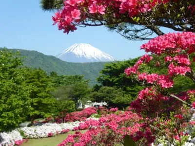 Uitzicht op Mount Fuji met bloemen en bomen in Japan
