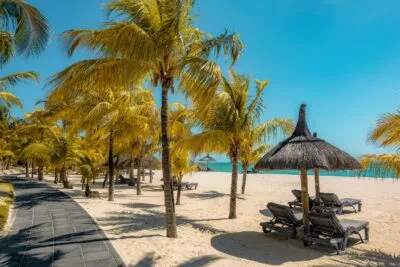Mauritius Strand Palmbomen Zee Zand