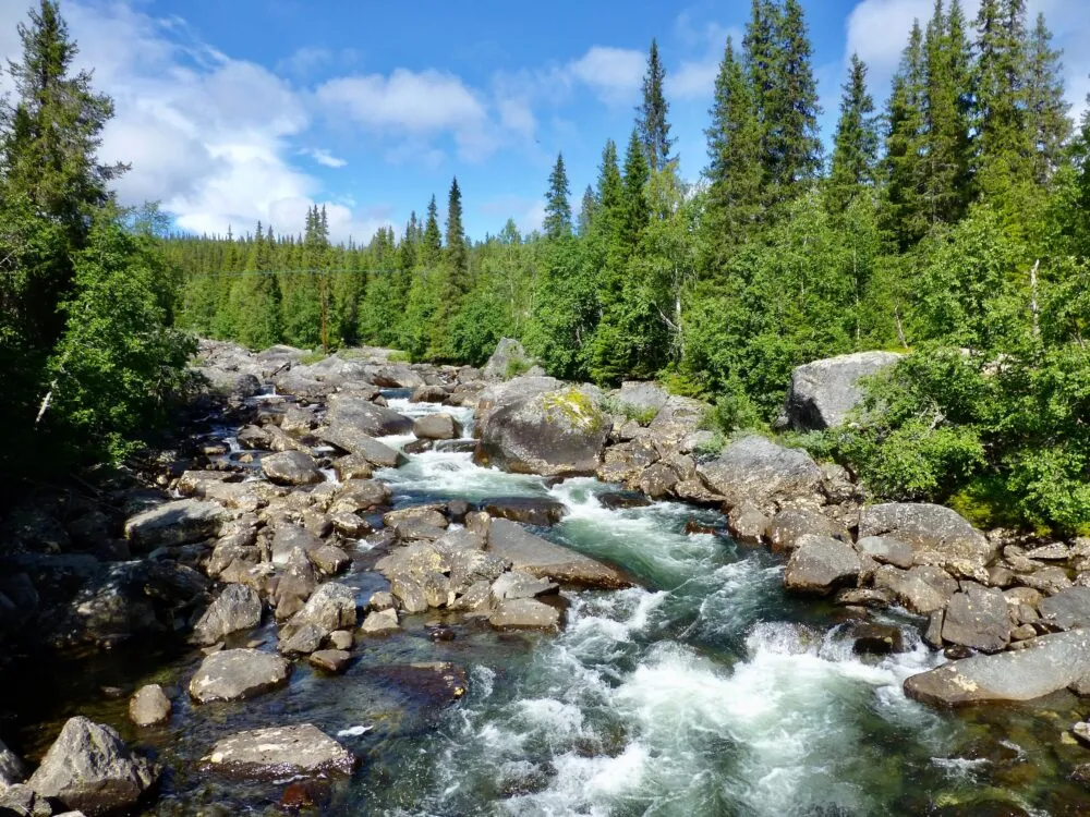 Zweden Bossen Riviertje Groenen Stenen
