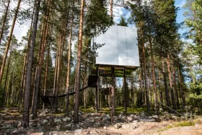 Zweden Lodge Treehotel Zilver Bomen