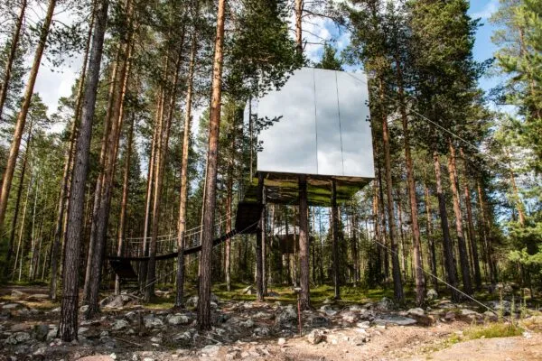 Zweden Lodge Treehotel Zilver Bomen