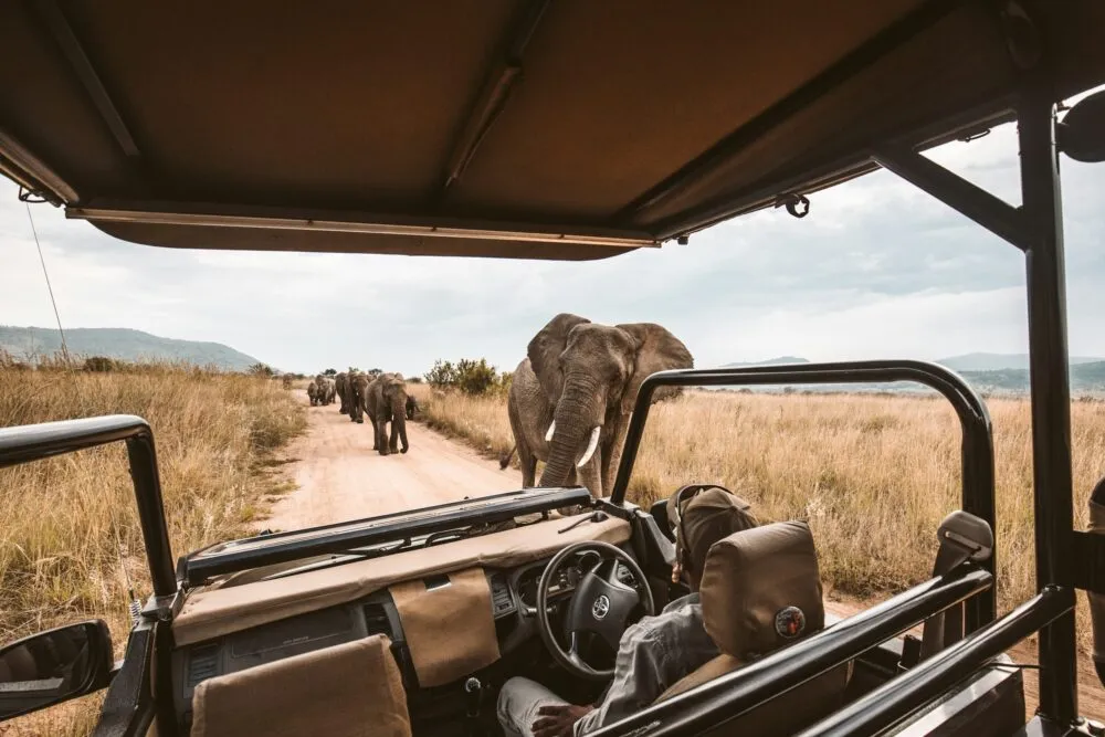 Safari in Botswana