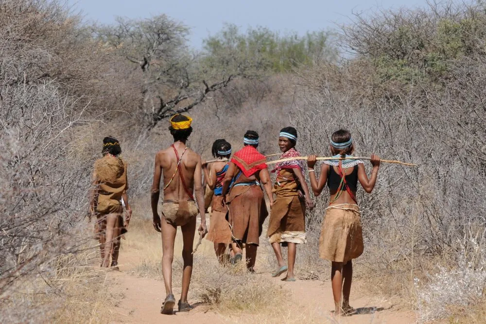 Taal in Botswana