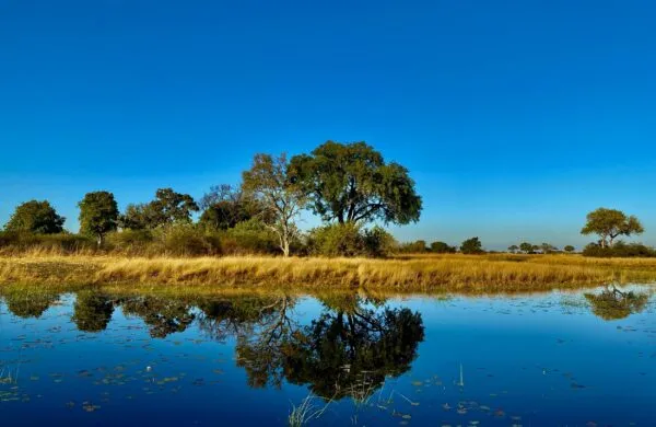 Okavango Delta in Botswana