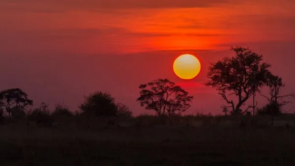 Zonsondergang bij Okavango Delta in Botswana