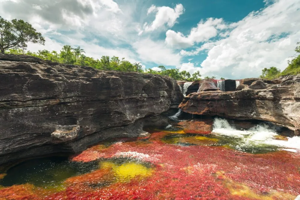 Colombia cano cristales la macarena