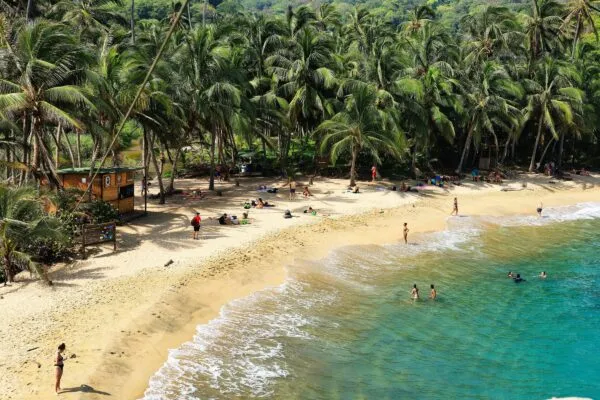 Colombia Tayrona strand palmbomen