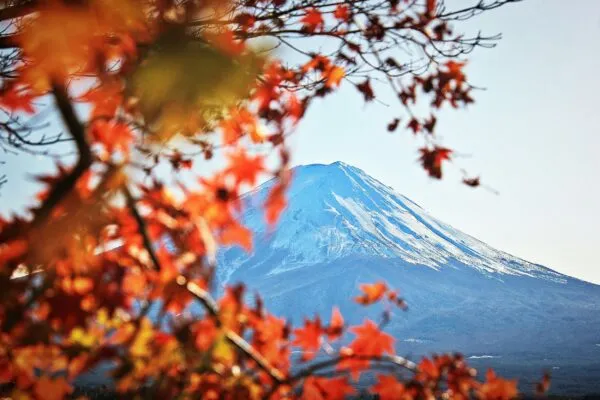 Herfst bij Fuji, Japan