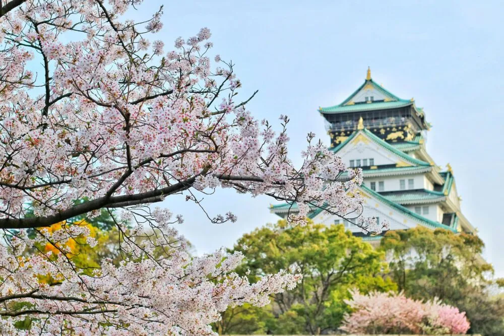Osaka Castle met kersenbloesem, Japan