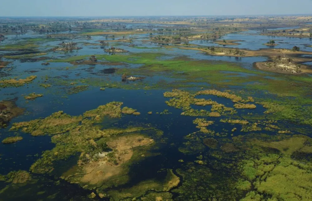 Okavango delta moera vanuit de lucht gefotografeerd