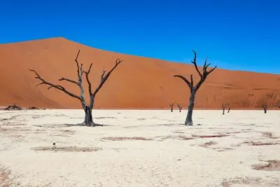 Deadvlei in Sossusvlei, Namibië