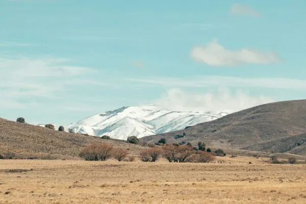 Argentinie Andes Landschap Gebergte