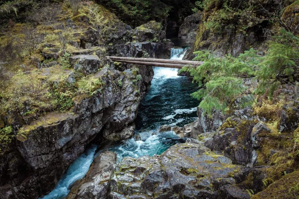 Stroompje met waterval op Vancouver Island