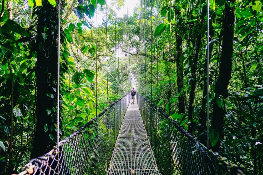 Brug door de jungle van Costa Rica.