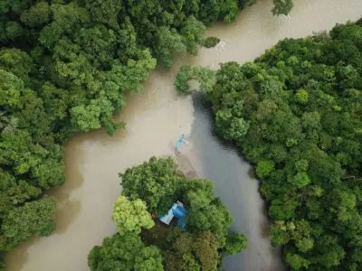 rivier door borneo in maleisie lopend door de jungle