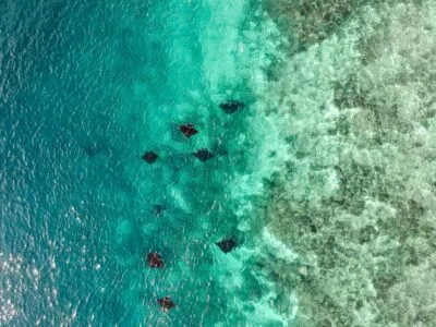 manta point in nusa penida in indonesie waar reuze mantas zwemmen