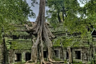 Ta prohm n Angkor wat, wortelen over tempels in cambodja
