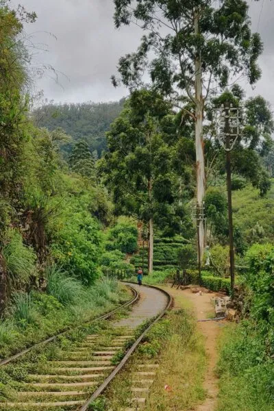 Trein door Nanuoya in sri lanka
