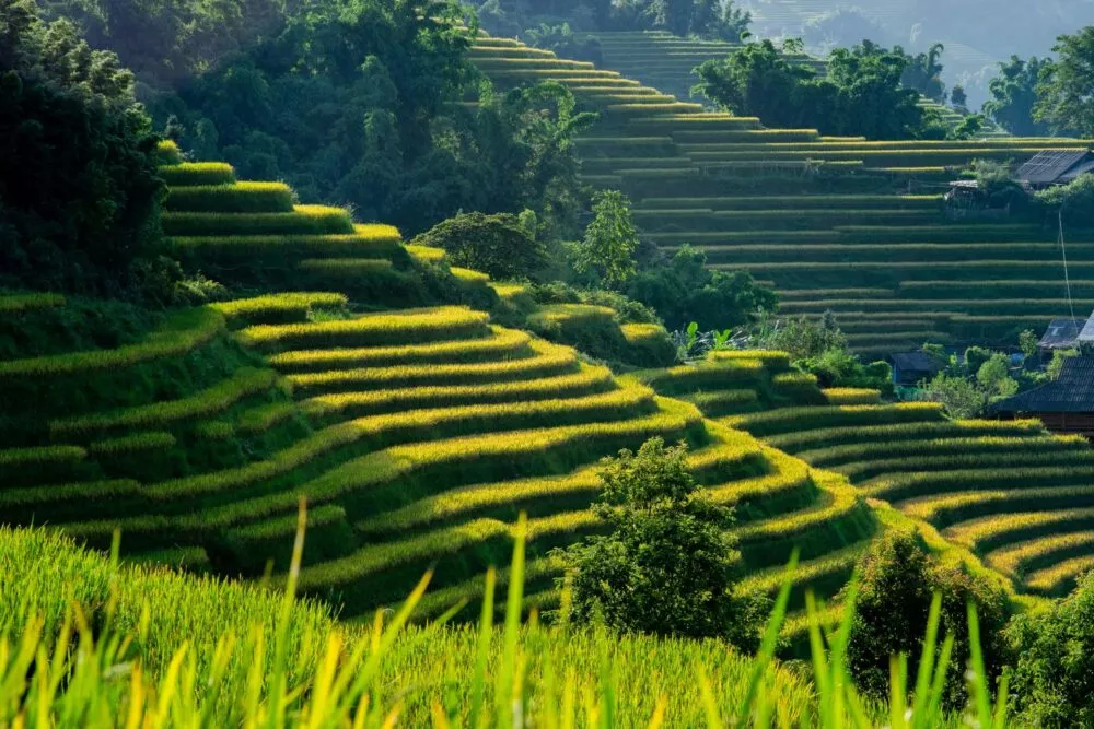 sapa in vietnam