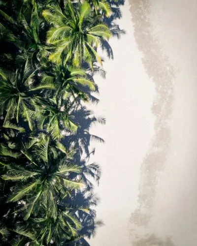 Bai Cay Men Beach Vietnam