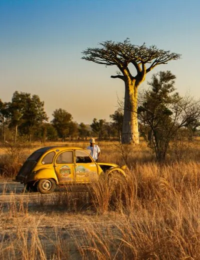 Man met auto bij baobabboom in Madagaskar.