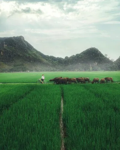 fietsen in ninh binh