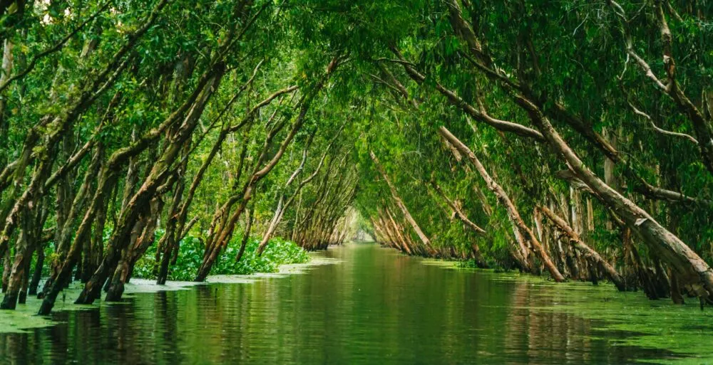 Mekong Delta in Vietnam.