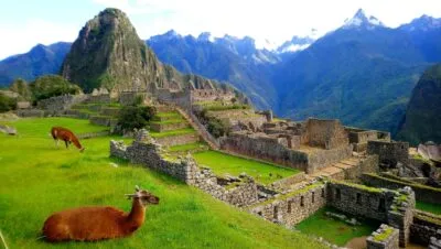 Machu Picchu met lama's in Peru.