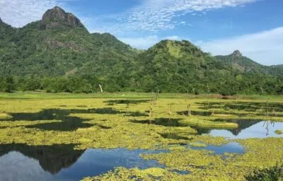 Gal Oya National Park Groen Water