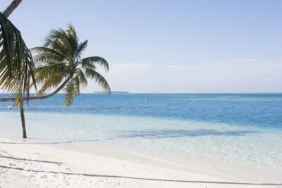 Malediven Wit Strand Zee Palmboom Hangend
