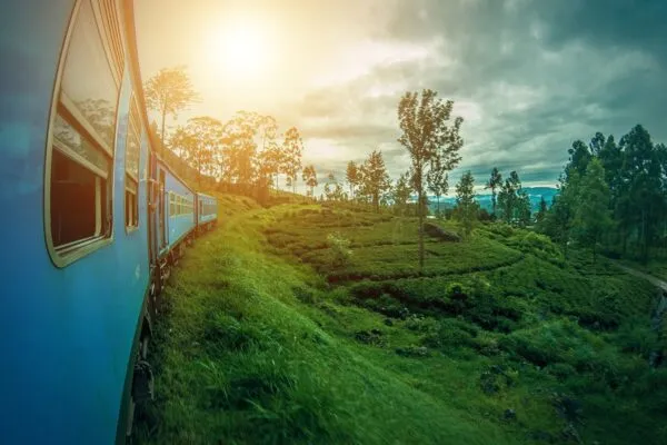 Rondreis Sri Lanka Treinreis