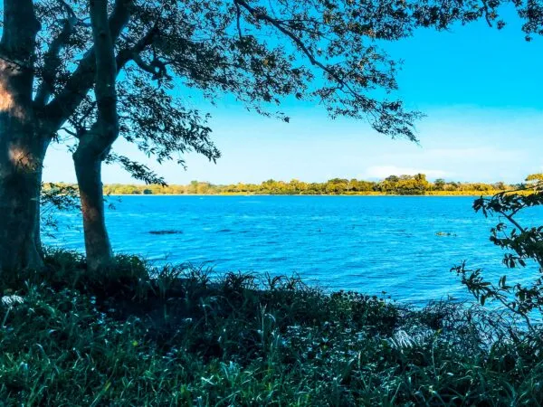 Sri Lanka Habarana Rivier Natuur