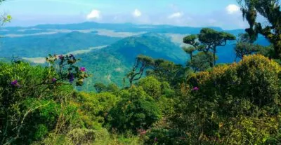 Sri Lanka Horton Plains Uitzicht