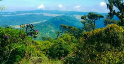 Sri Lanka Horton Plains Uitzicht Vanaf Berg