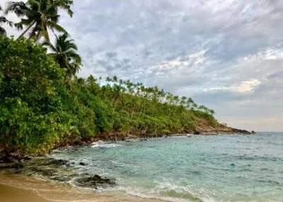 Sri Lanka Mirissa Zee Bomen Bewolkt