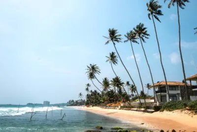 Sri Lanka Unawatuna Strand Palmbomen Zee