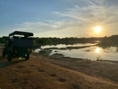 Sri Lanka Yala National Park Zon Auto Rijdend