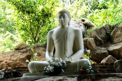 Sri Lanka Boeddha In De Natuur